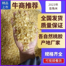 2023年皂角米单荚双荚雪莲子一手货源大量现货