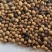 纯黄豆粒肥料级别100斤一袋货真价实