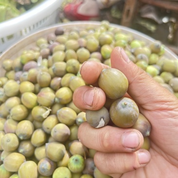 大量草莲，需要的联系