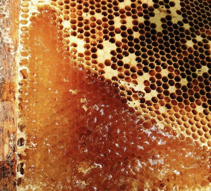 土蜂蜜，大山里正宗土蜂蜜，顺丰包邮每斤220元，有假包退