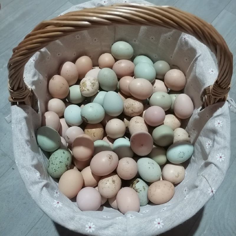 土鸡蛋