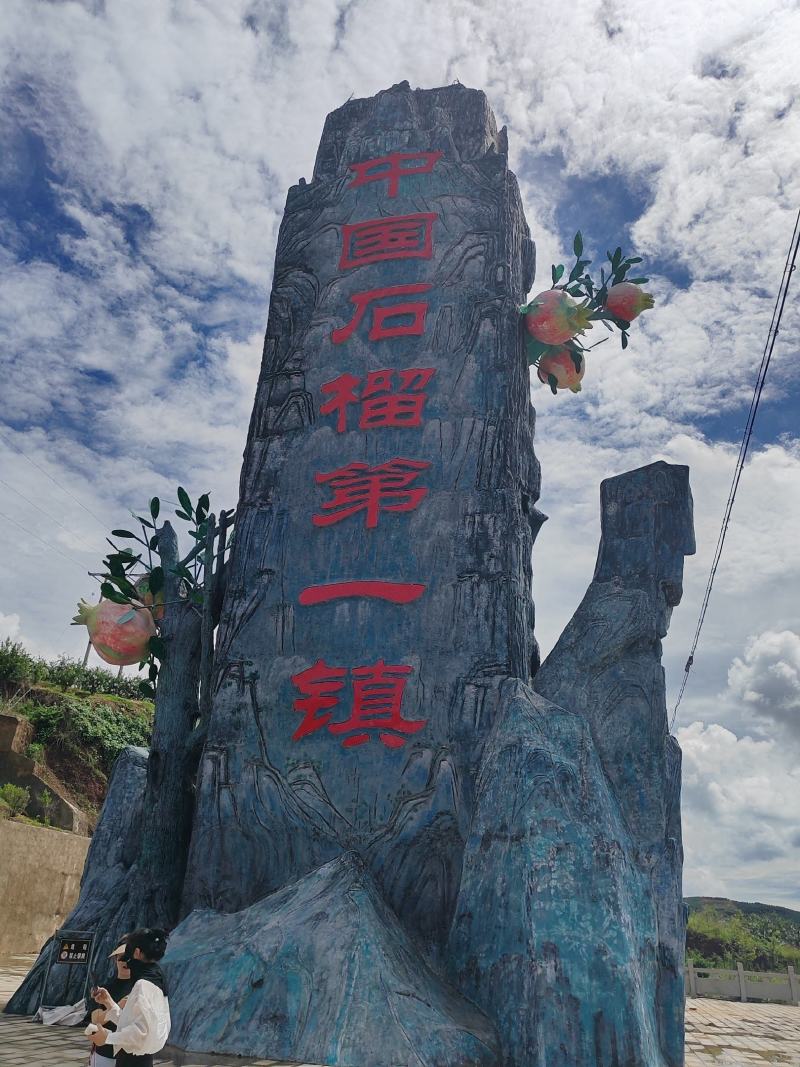 突尼斯软籽石榴电商直播带货软籽石榴一件代发承接直播