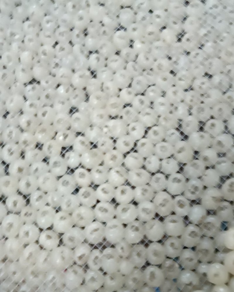 广西省玉林市博白县桂圆肉