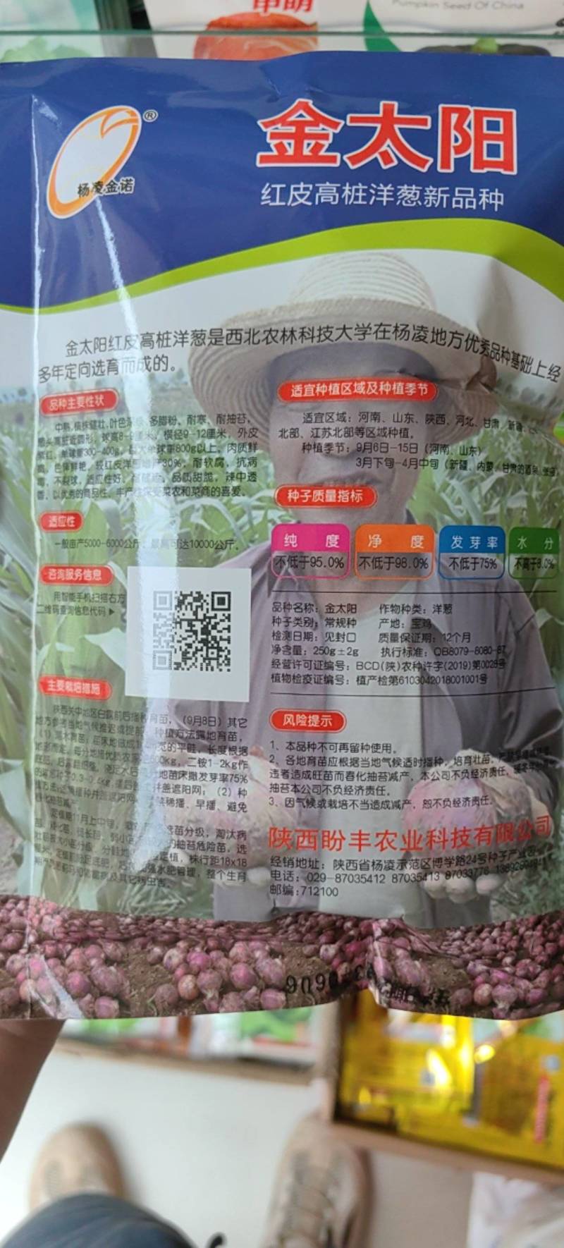 金太阳红皮高桩洋葱种子中熟晚熟耐抽苔高桩特高产洋葱种子