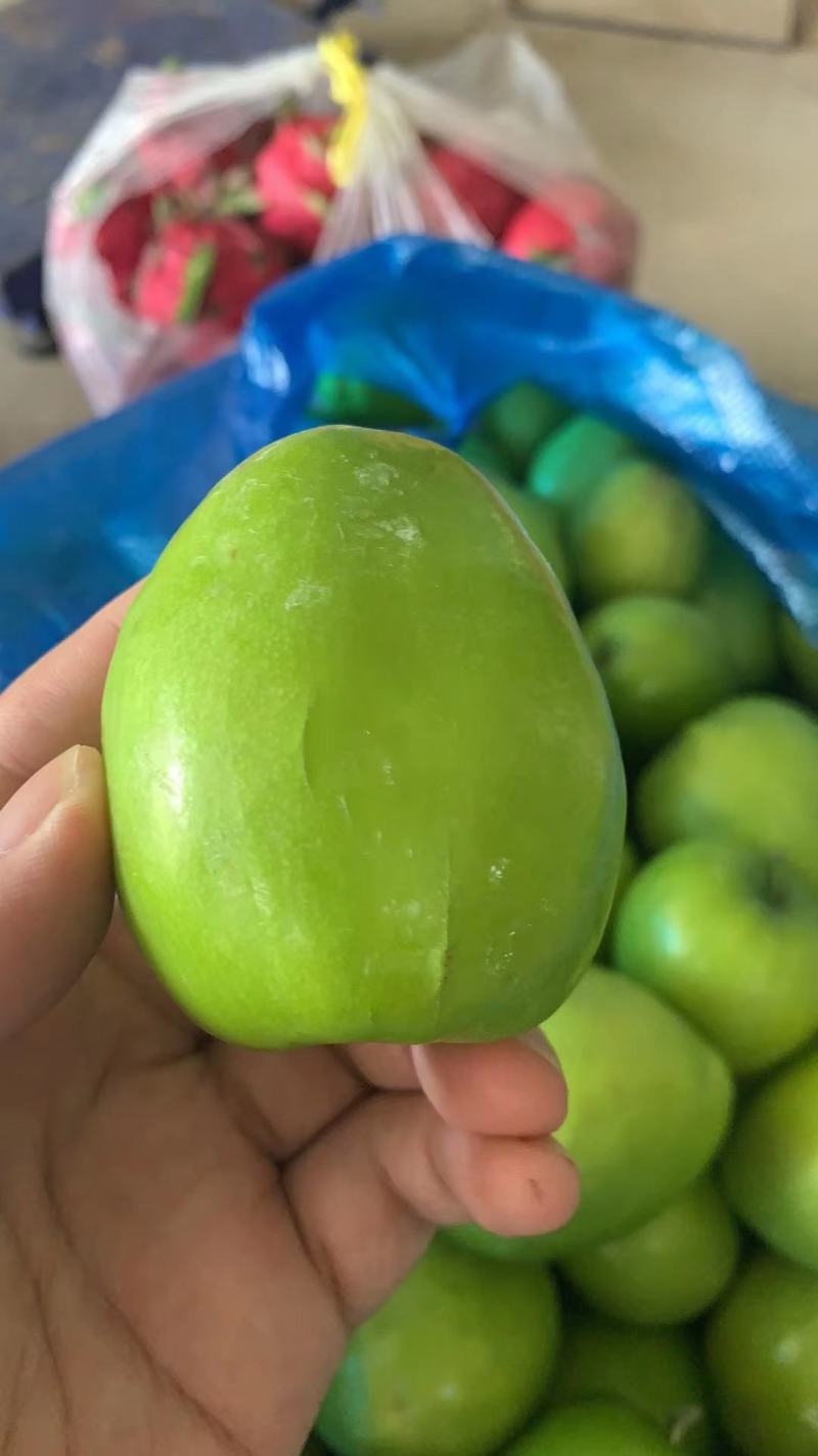 云南大青枣西双版纳牛奶大青枣