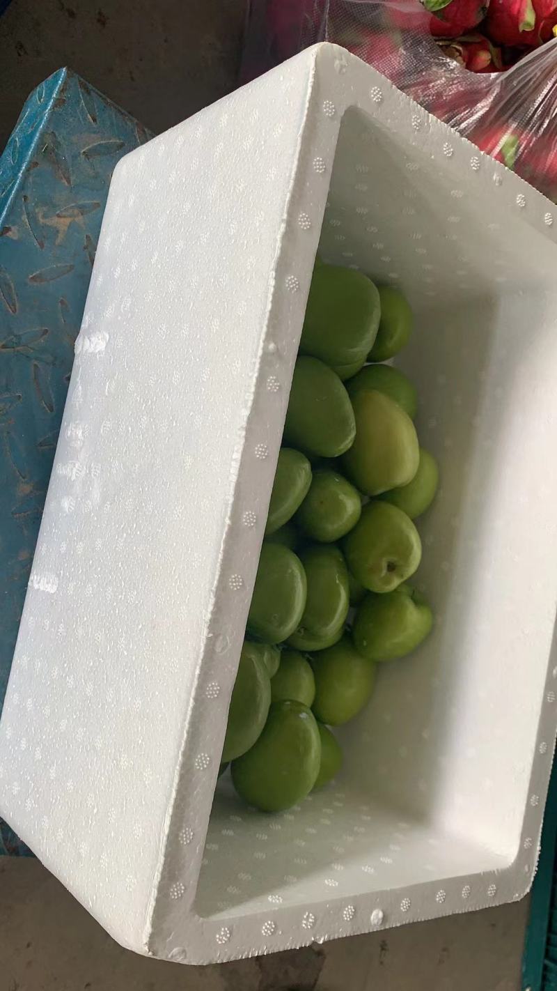 云南大青枣西双版纳牛奶大青枣