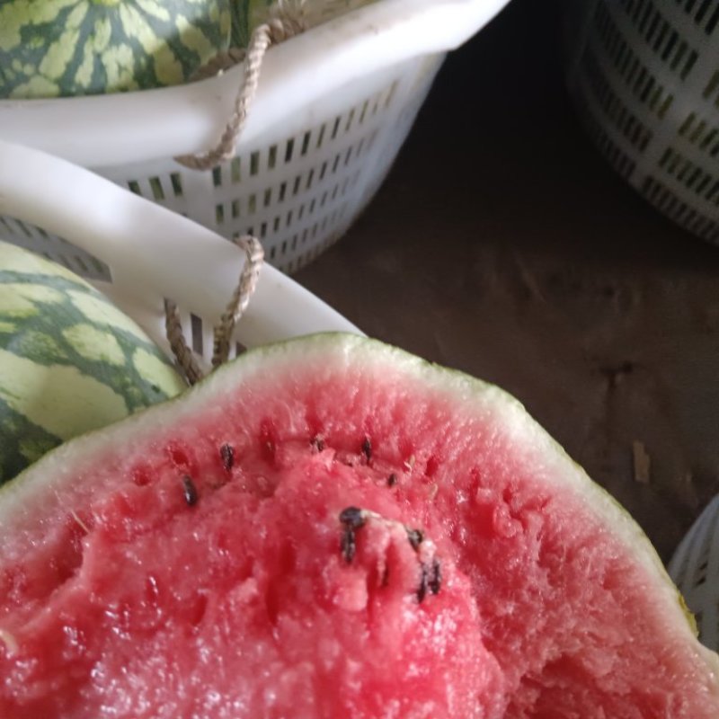 浙江麒麟瓜产地直供货源充足量大从优