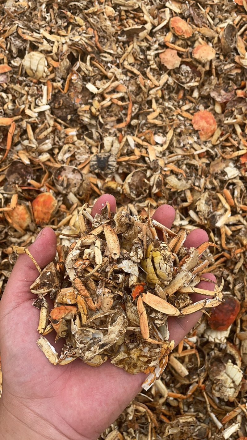 大闸蟹蟹壳