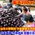 【电话议价】聊城紫光圆茄子/社区电商/市场加工厂/赶集货