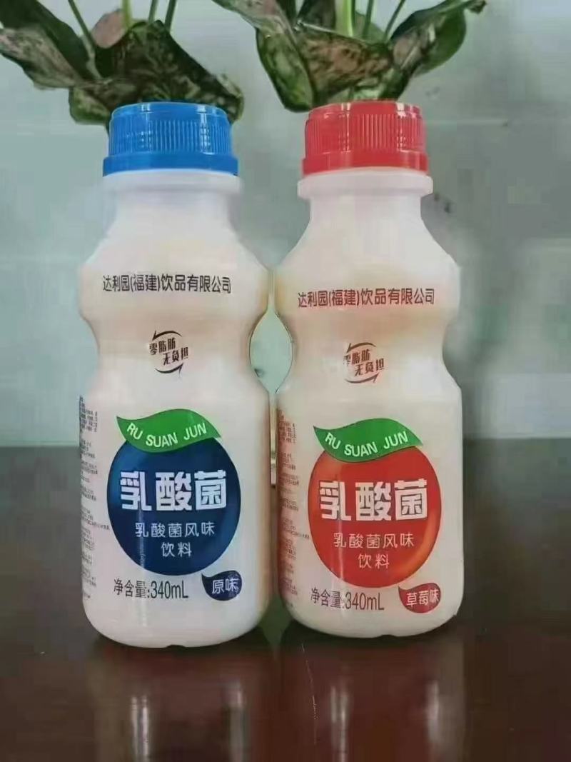 达利园乳酸菌