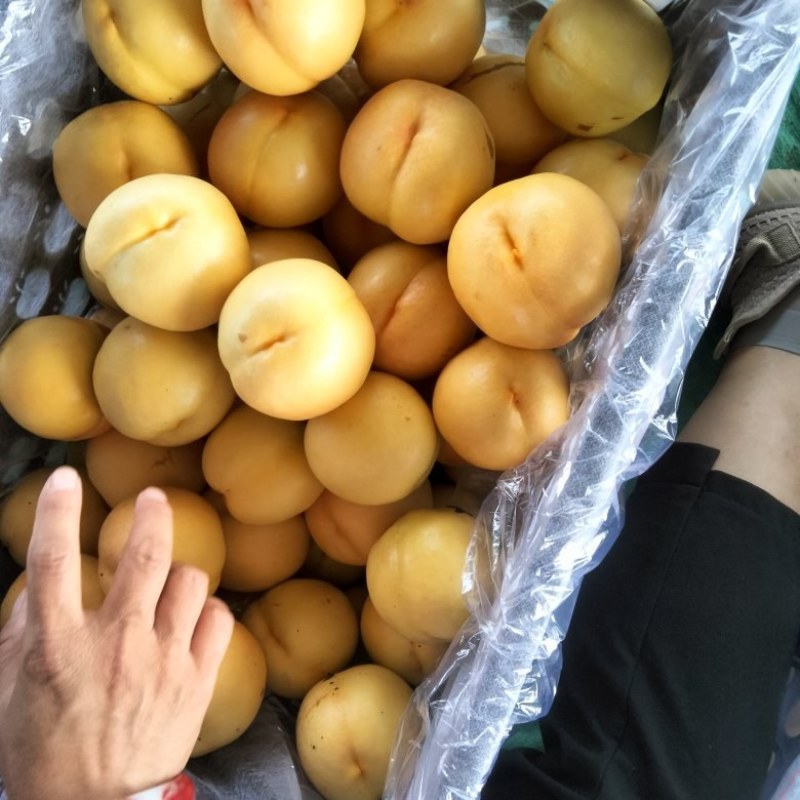 中油八大量上市