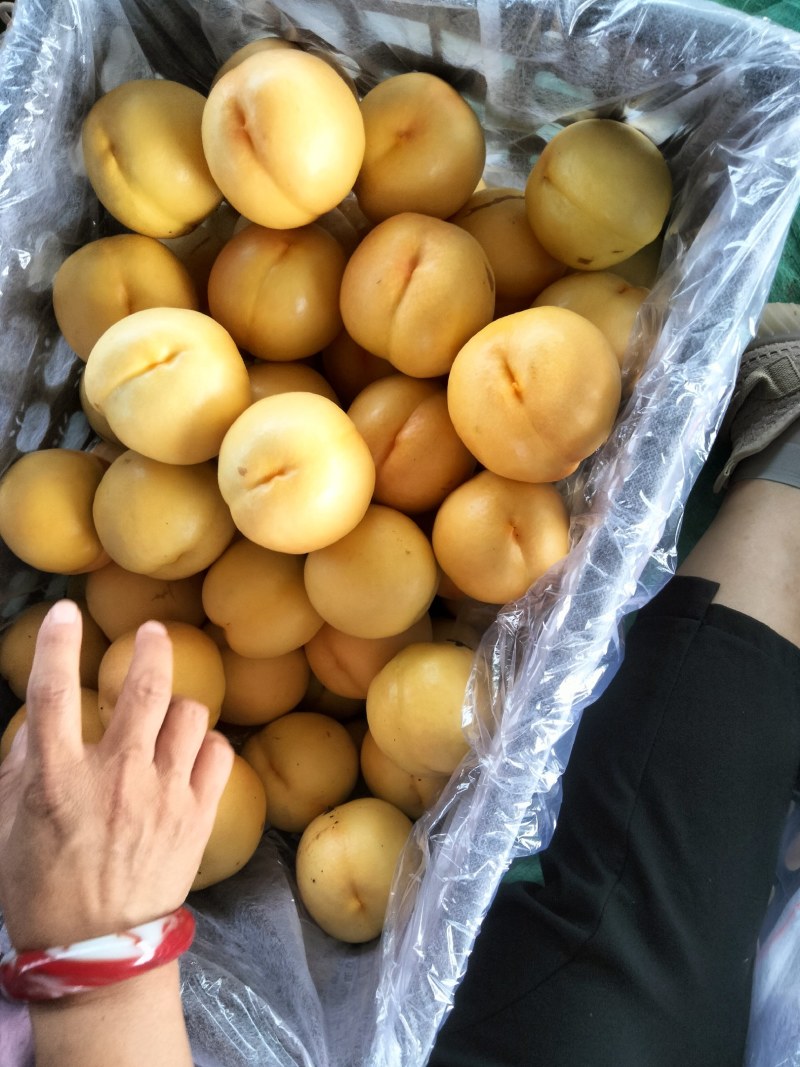 中油八大量上市