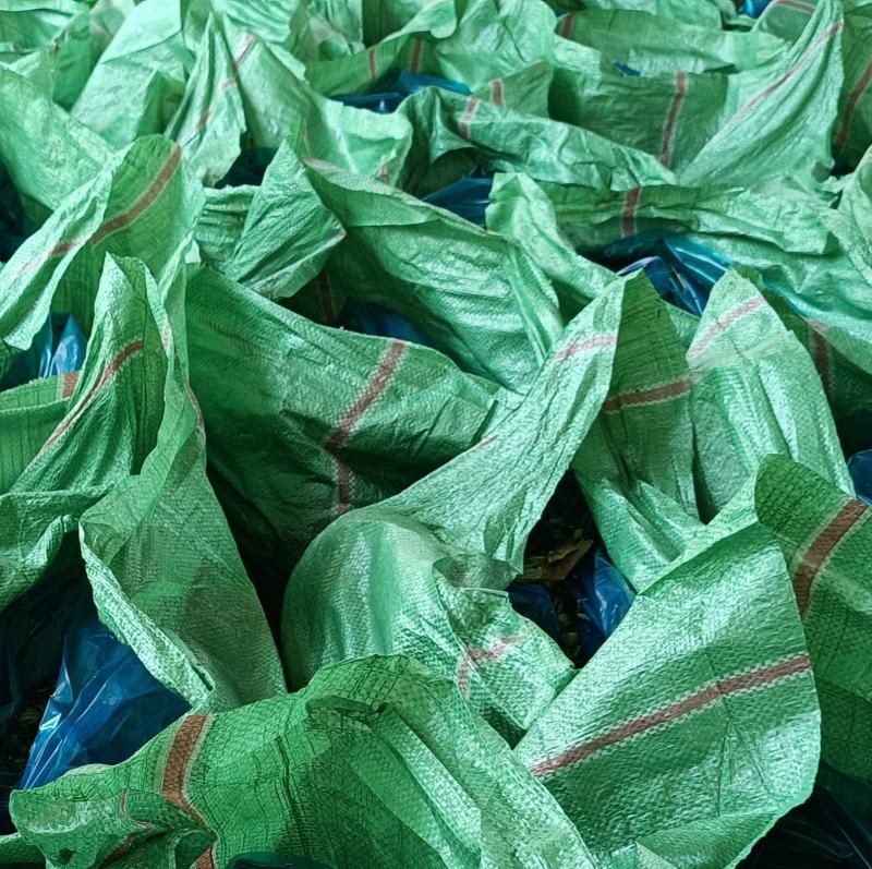 玉米秸秆青储草料