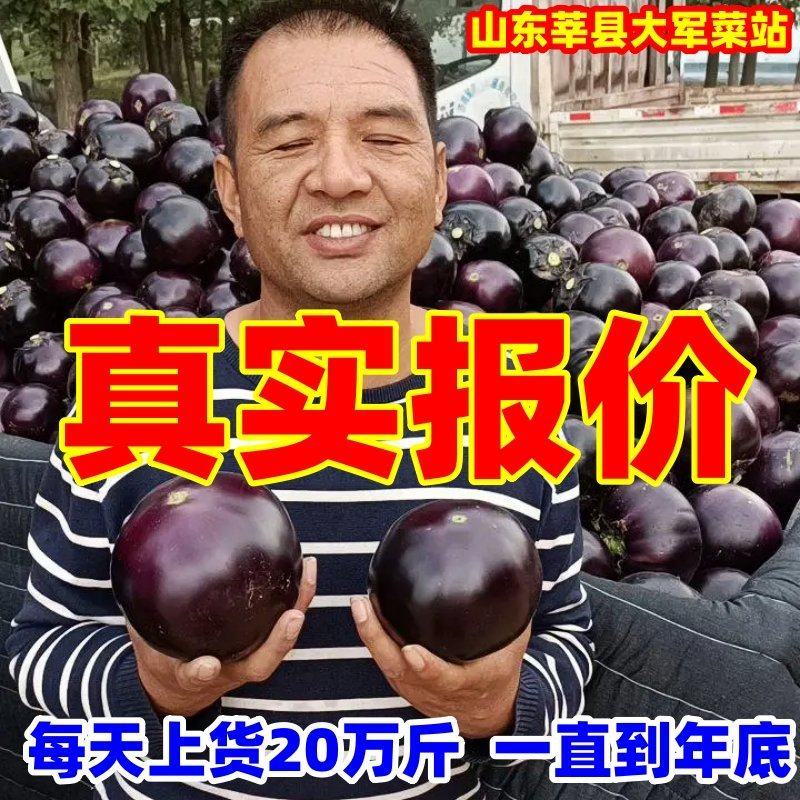 【重点推荐】山东紫光圆茄子社区电商货市场赶集小车货量很大