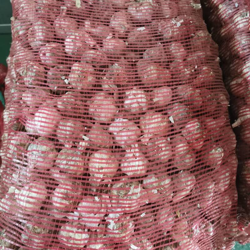 白皮蒜干蒜头，去头去尾，价格差不多就出了