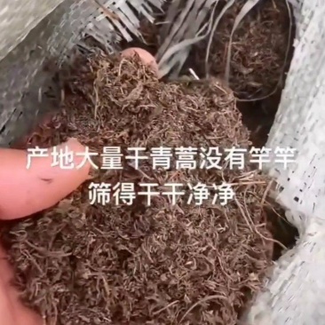 青蒿全草干货，具有较高的药用价值，收取以后可直接入药。