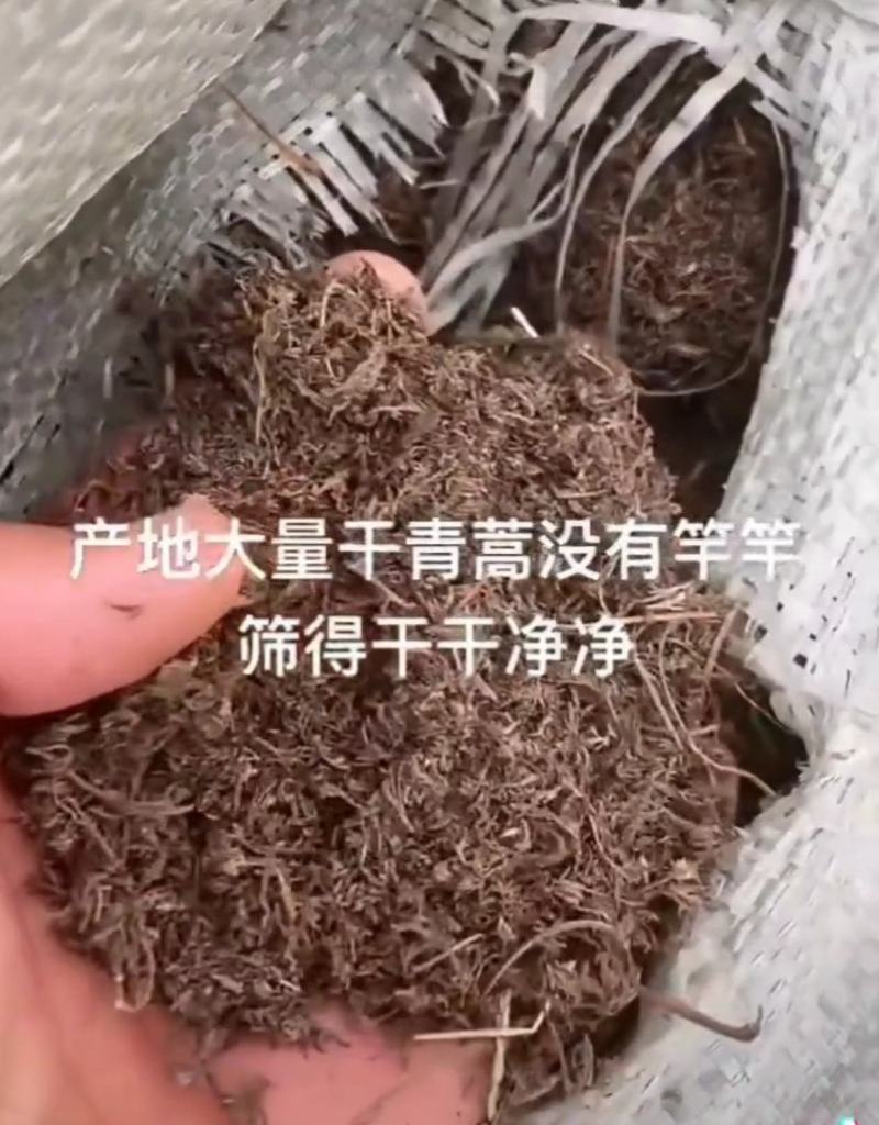 青蒿全草干货，具有较高的药用价值，收取以后可直接入药。