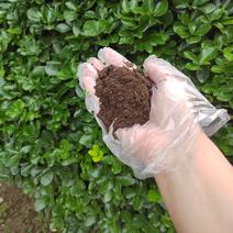 发酵牛粪有机肥瓜果蔬菜药材茶场通用改良土壤