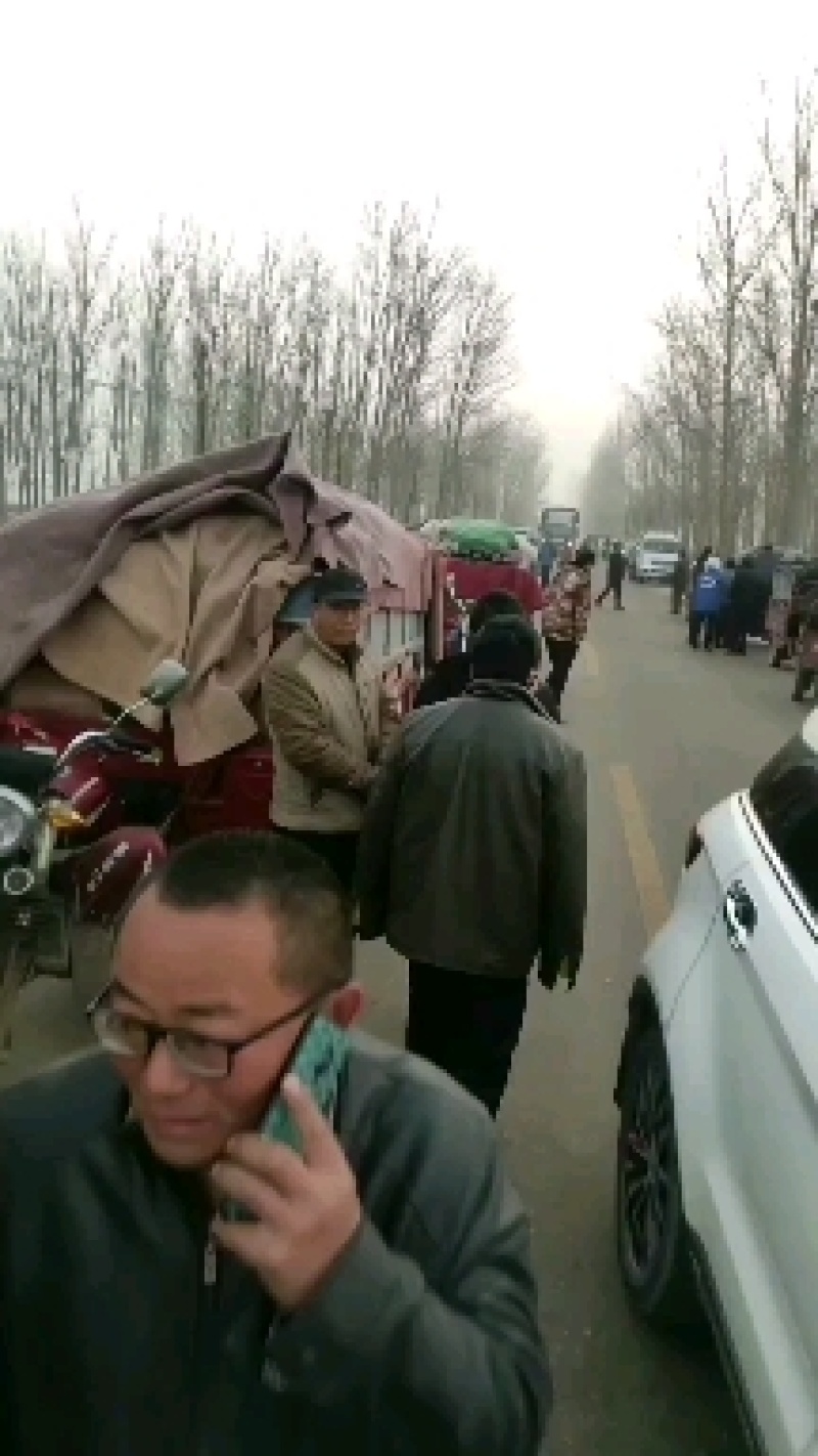 【重点推荐】山东聊城莘县密刺黄瓜，量大价低，赶集电商市场