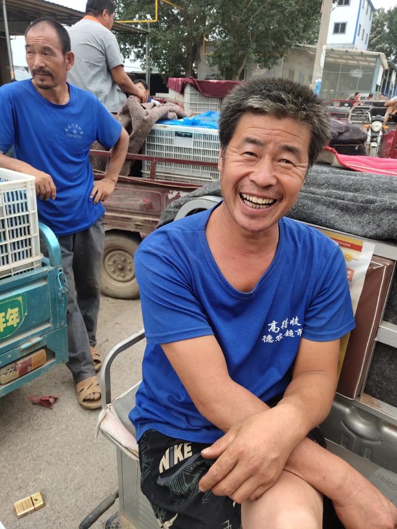 【黄瓜一手货源】山东莘县密刺黄瓜，电商市场赶集加工厂量大