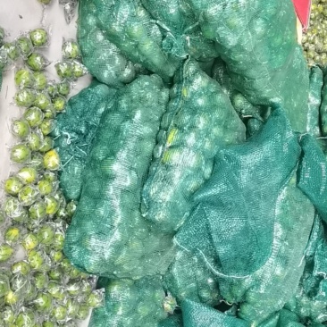 海南金桔柠檬