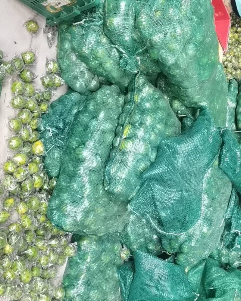 海南金桔柠檬