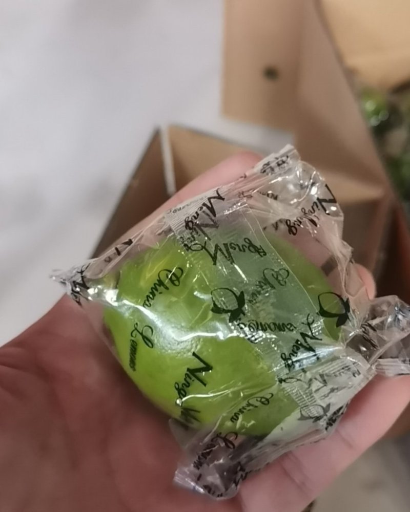 海南金桔柠檬