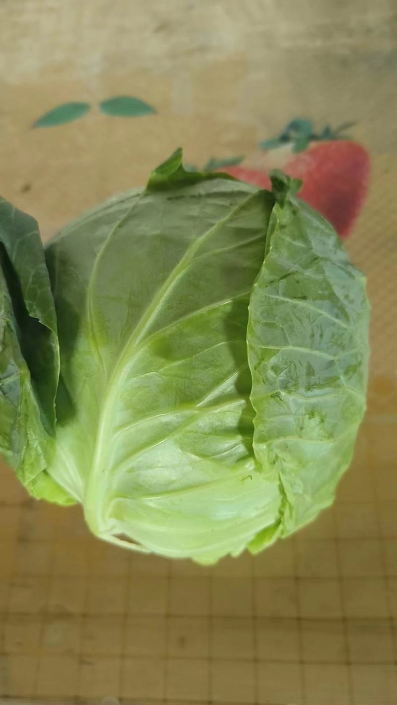 包菜