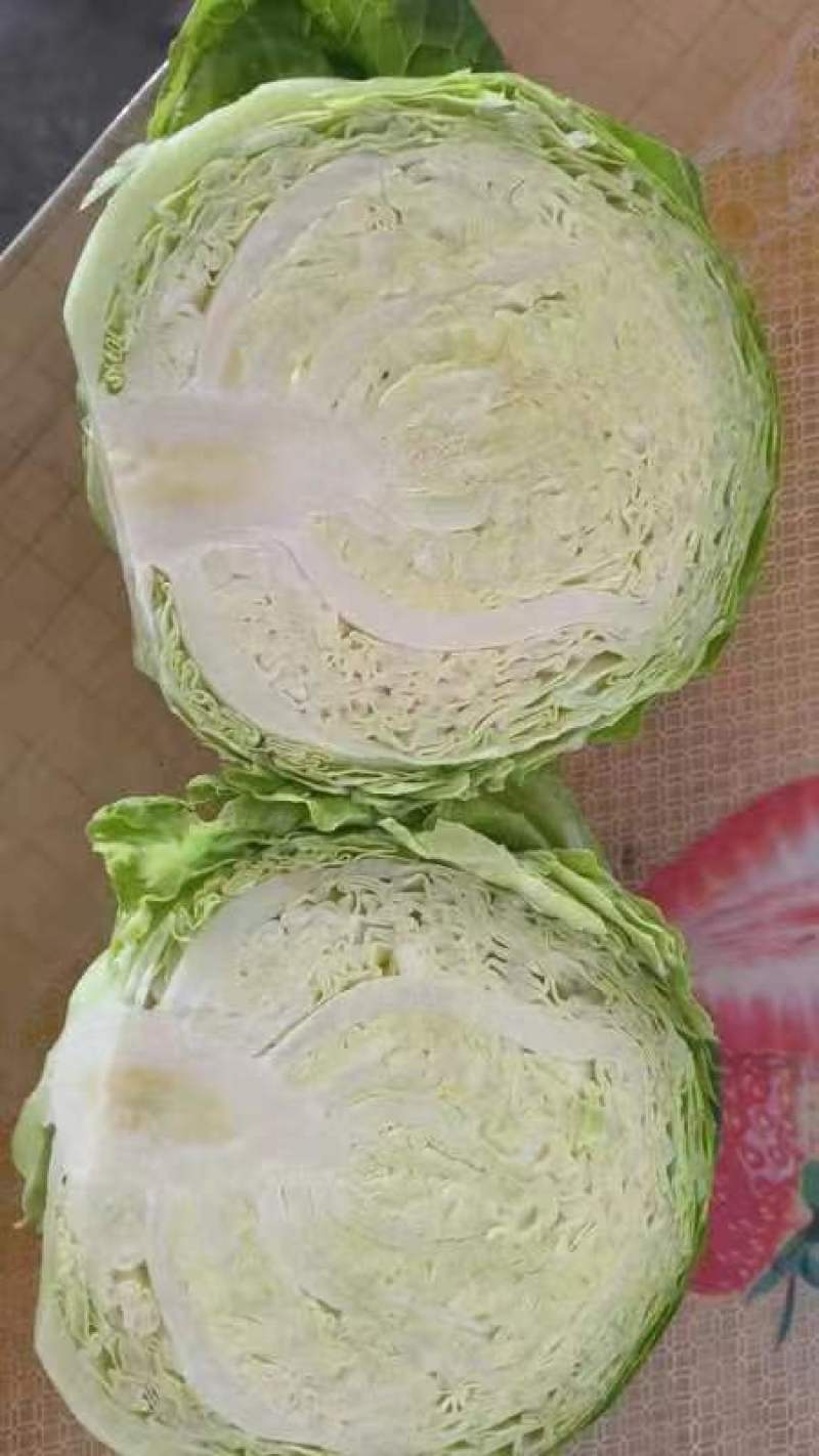 包菜