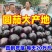 山东莘县圆茄，茄子，紫光圆茄【净棚货，食堂货】量大，价低