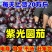 山东圆茄，茄子紫光圆茄【净棚货食堂货】一直到年底，电我