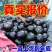 山东莘县茄子，紫光圆茄【每天50万斤】一直到年底，电我！