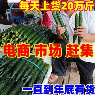 山东莘县黄瓜【大军菜站】密刺黄瓜亮条鲜花，价格便宜，电我