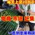 【真实报价】山东密刺黄瓜，电商赶集小车加工厂批发市场供应