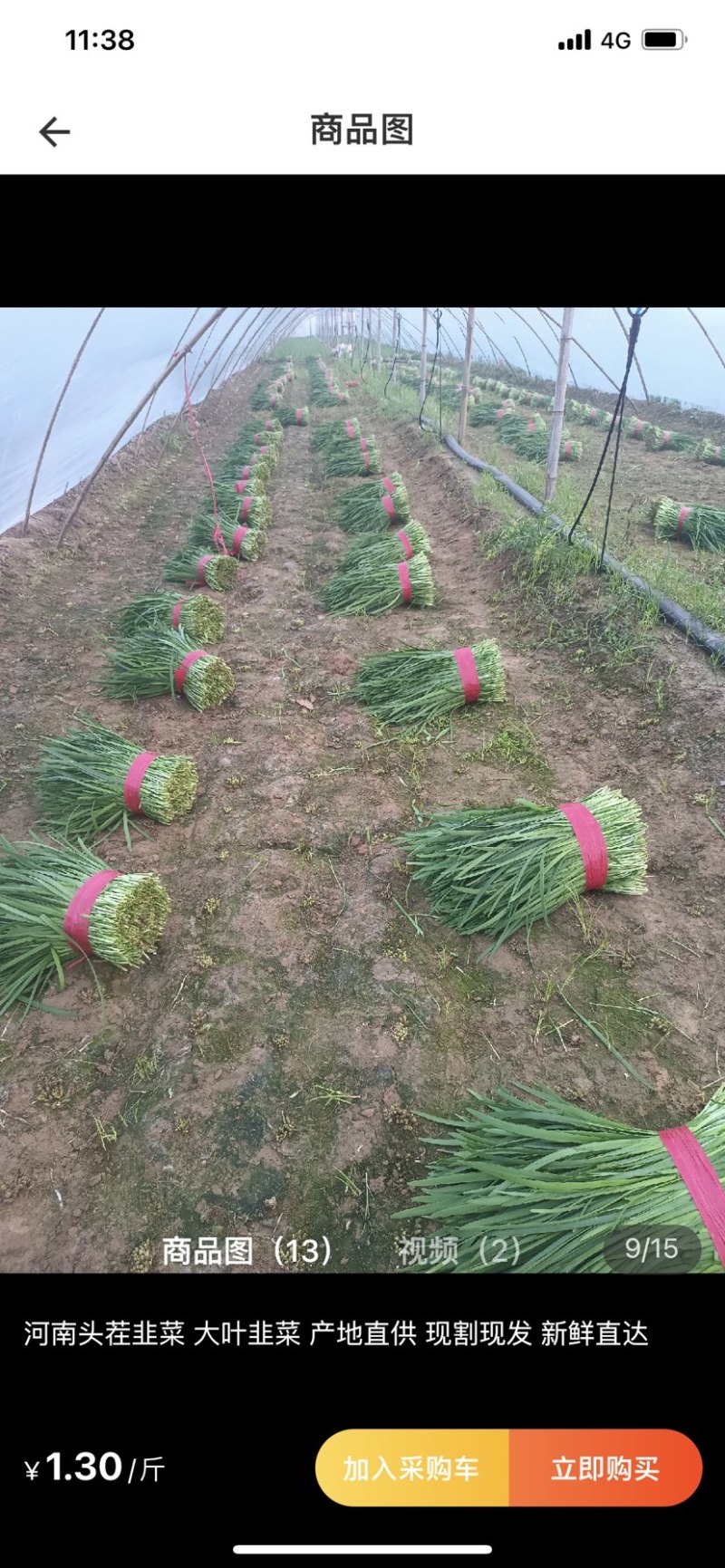 韭菜茴香香菜