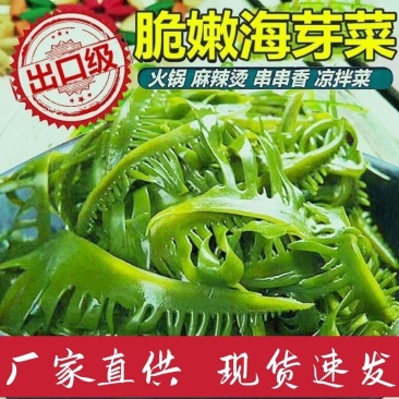 海芽菜睫毛菜海带芽，火锅凉拌麻辣烫串串香鲜嫩爽口