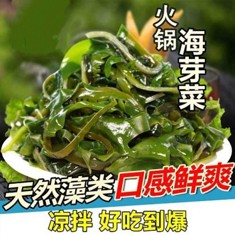 海芽菜睫毛菜海带芽，火锅凉拌麻辣烫串串香鲜嫩爽口