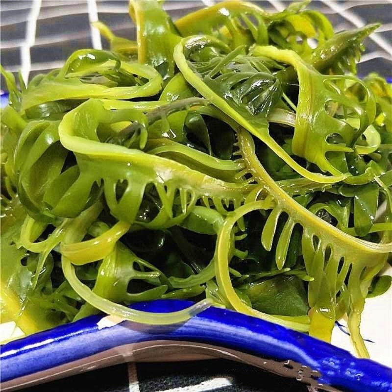 海芽菜睫毛菜海带芽，火锅凉拌麻辣烫串串香鲜嫩爽口