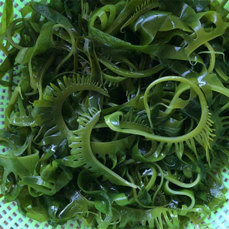海芽菜睫毛菜海带芽，火锅凉拌麻辣烫串串香鲜嫩爽口