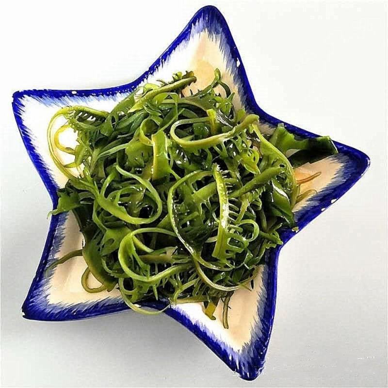 海芽菜睫毛菜海带芽，火锅凉拌麻辣烫串串香鲜嫩爽口
