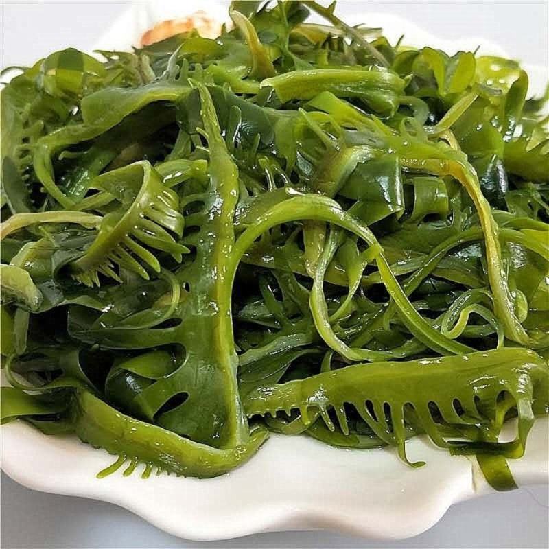 海芽菜睫毛菜海带芽，火锅凉拌麻辣烫串串香鲜嫩爽口