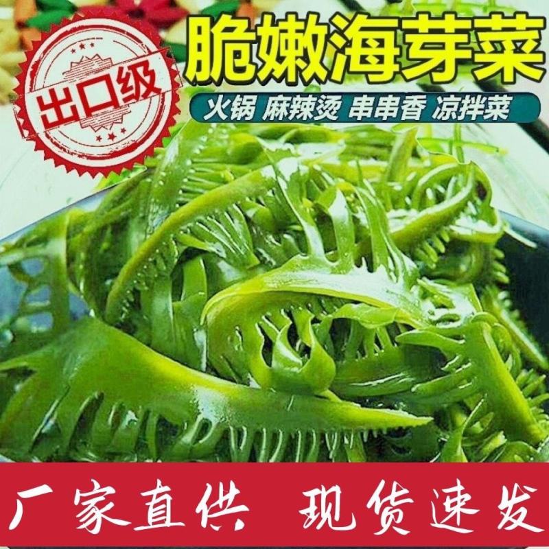 海芽菜睫毛菜海带芽，火锅凉拌麻辣烫串串香鲜嫩爽口
