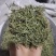 半边莲，颜色青新货，过筛无硫，一手货源，保质保量，欢迎订
