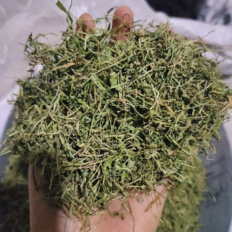 半边莲，颜色青新货，过筛无硫，一手货源，保质保量，欢迎订