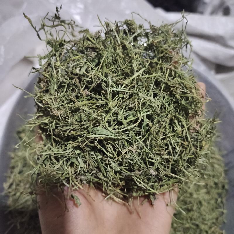 半边莲，颜色青新货，过筛无硫，一手货源，保质保量，欢迎订