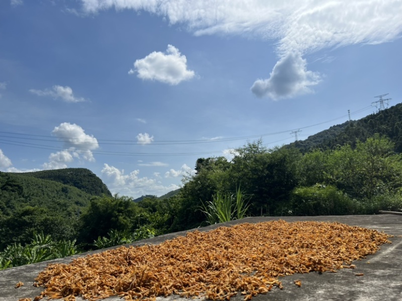 农家原生态竹笋干，原汁原味