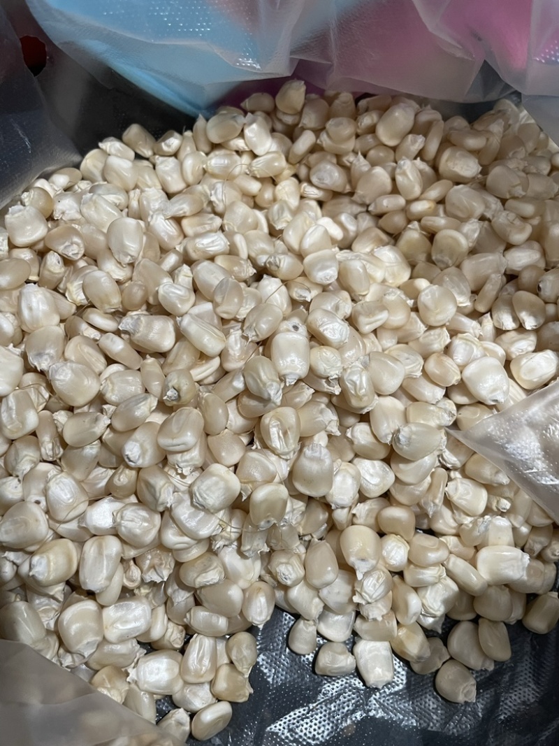 干白糯玉米，各种品种。量大，需要的朋友欢迎联系
