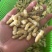 蜂蛹马蜂拥一二级一百斤里面有65斤二级35斤一级
