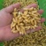蜂蛹马蜂拥一二级一百斤里面有65斤二级35斤一级
