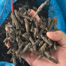 干货野生仙茅大量有货找有销量的客户大量